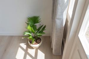 Galeriebild der Unterkunft Flamingo Beach Apartments in Zandvoort