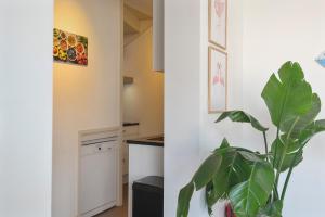 Küche/Küchenzeile in der Unterkunft Flamingo Beach Apartments