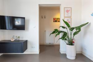TV/Unterhaltungsangebot in der Unterkunft Flamingo Beach Apartments