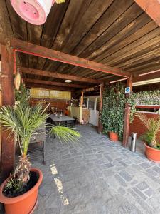 a patio with potted plants and a wooden ceiling at Casa Daria in Râmnicu Vâlcea