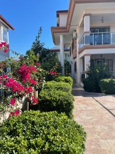 Κήπος έξω από το Villa Mango