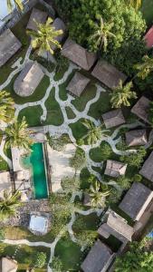 Ein Garten an der Unterkunft Beranda Ecolodge