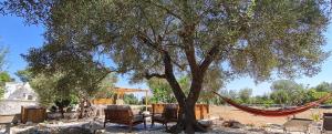 Κήπος έξω από το Trullo Serenità Retreat with relaxing pool area