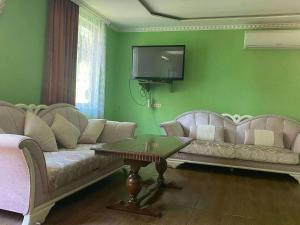 a living room with a couch and a tv at дома in Grigoleti