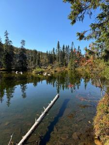 Příroda nedaleko prázdninového domu