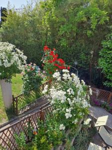 Zahrada ubytování Residence Castiglione
