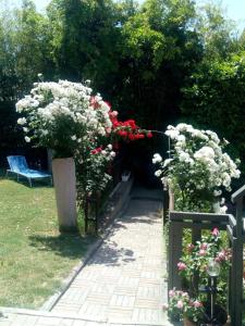 Zahrada ubytování Residence Castiglione
