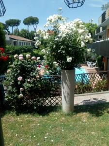Zahrada ubytování Residence Castiglione