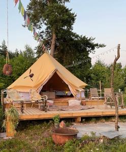 Příroda nedaleko luxury tent