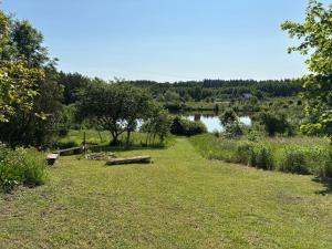 a grassy field with a lake in the background at Agroturystyka Oczko in Ogonki
