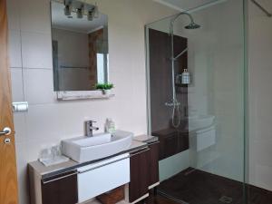 a bathroom with a sink and a shower at Habitación en casa moderna con jardín in Santa Cruz de Bezana