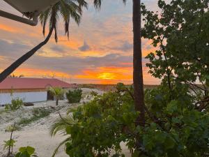 Fotografie z fotogalerie ubytování Adroit Sunset View v destinaci Guraidhoo
