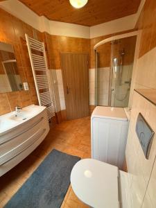 a bathroom with a sink and a toilet and a shower at Ubytování Heřmanka in Špičák +13 photos