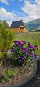 Ein allgemeiner Bergblick oder ein Berglick von des Chalets aus