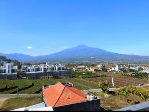 a view of a city with houses and a mountain at Oemah Sawah99 in Batu