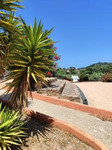 Фотография из галереи Camping Le Parc des Chênes в городе Ла-Круа-Вальме