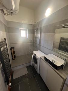 Un pequeño baño con lavadora y lavabo. en Apartmány LISTOPAD 17, en Děčín