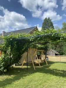a swing set in a yard with a tree at Agroturystyka Łazory nad Tanwią in Łazory