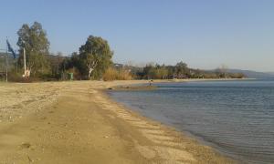 a beach with water and trees in the background at Greco Hotel in Koropi