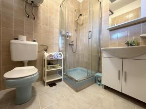 een badkamer met een douche, een toilet en een wastafel bij Apartments Venilia in Lukoran +36 foto's