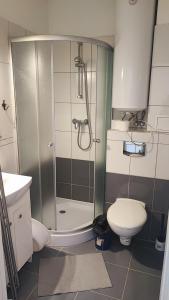 łazienka z prysznicem i toaletą w obiekcie Apartamenty Poddąbek- basen kryty, sauna, animacje dla dzieci , małpi gaj, baseny na dachu w Poddąbiu