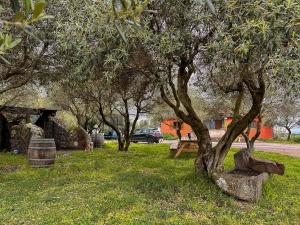 Gallery image of Agriturismo Su Nuratolu in Sagama