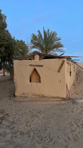 a building in the desert with a palm tree behind it at Zoola beach camp & Eco lodge in Nuweiba