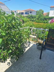 Giardino di Under the Fig tree