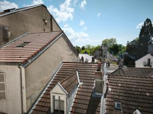 ヴィシーにあるLe Tour - Hypercentre - Opéra 150 m - Bord d'Allierの町の屋根を上から見た写真