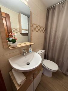 a bathroom with a sink and a toilet and a mirror at Mar y Sol in Empuriabrava