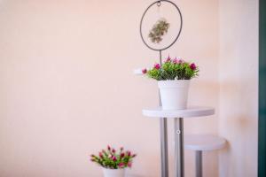 Gallery image of Apartmani Sandy paradiese in Lopar +46 photos