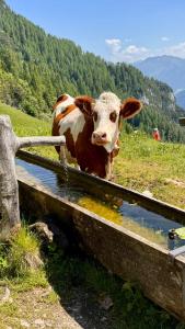 Paesaggio naturale nelle vicinanze dell'affittacamere