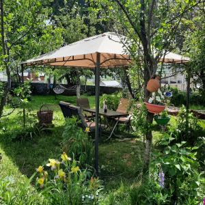 A garden outside GIO-NIKA