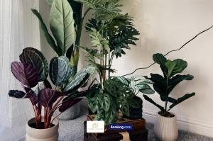 Billede fra billedgalleriet på Modern 3 Bedroom House By The Yuma Homes Short Lets & Serviced Accommodation In Ashford Town Centre With Free Wifi & Free Parking i Kent