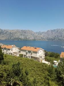 a group of houses on a hill next to the water at Apartments Djuricic in Kotor