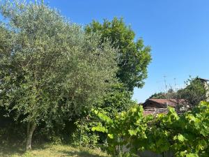 Zahrada ubytování B&B La Corte and Home Restaurant - free parking - 10 minutes to the lake and centre