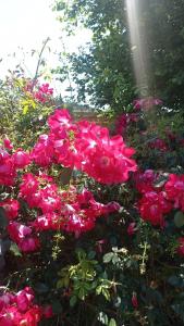 Foto dalla galleria di Artist's House and Studio a Beaubery