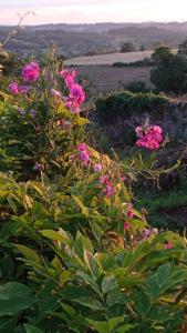 Foto dalla galleria di Artist's House and Studio a Beaubery