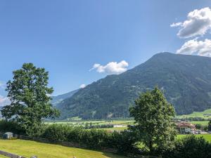 two trees in a field with a mountain in the background at Das Moos in Ried im Zillertal