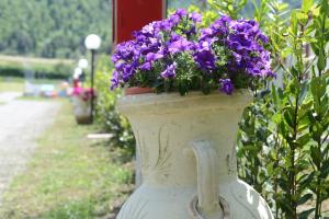 Giardino di Camping Vigna di Valle