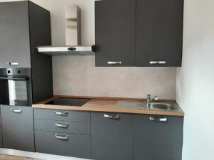 a kitchen with gray cabinets and a sink at Oasi urbana in Turin +11 photos