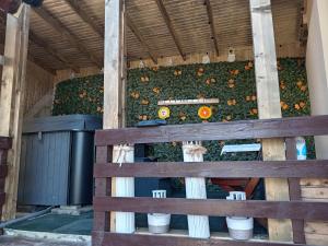 a large field of pumpkins behind a wooden fence at Casa Coltea in Moieciu de Jos