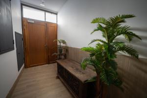 a hallway with a bench and a palm tree at LETS HOLIDAYS Centric & Near the Sea Victoria apartment 3 in Tossa de Mar