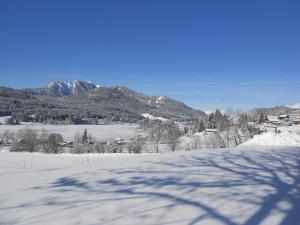 a snow covered road with a mountain in the background at Haus Jank in Weissensee