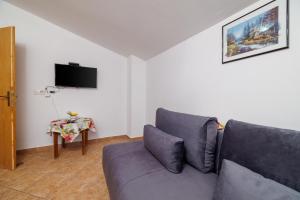 TV a/nebo společenská místnost v ubytování Apartment Toma