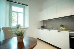 Η κουζίνα ή μικρή κουζίνα στο Apartment Residenz +14 φωτογραφίες