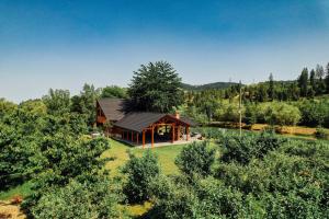 GăineştiMoonlake Chalet的树林中房屋的空中景观