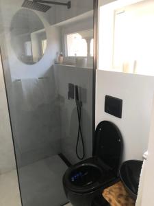 a bathroom with a black toilet and a shower at Ulita in Bumbeşti-Jiu +16 photos