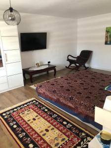 a bedroom with a bed and a chair and a tv at Ulita in Bumbeşti-Jiu