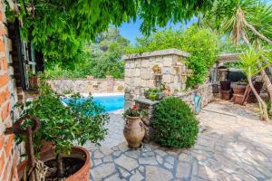 a patio with plants and a swimming pool at Rustical Vila VERDE with traditional Tavern & Pool in Jasenice